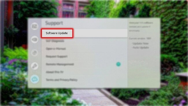 Software update option