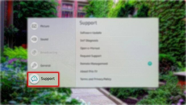 Support option