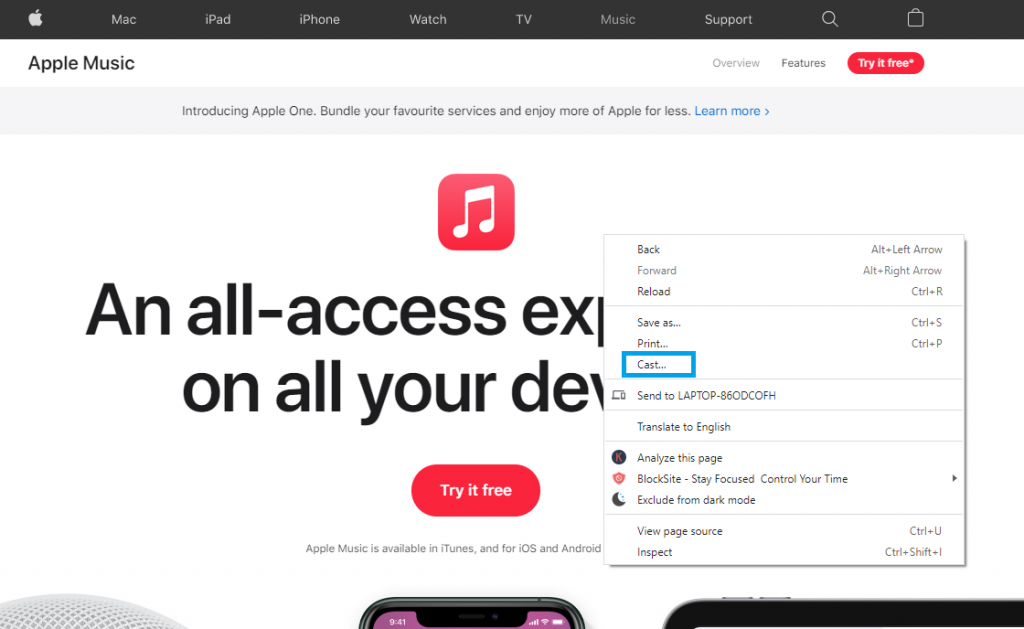 Tap Cast to Chromecast Apple Music website