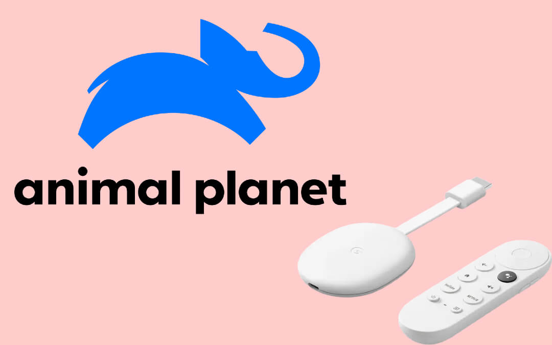 Animal Planet on Google TV
