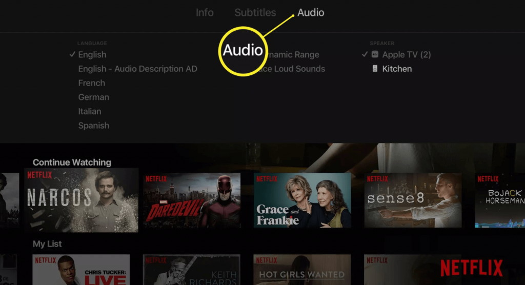 select Audio from info subtitles audio menu