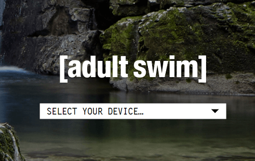Activate Adult Swim on Firestick