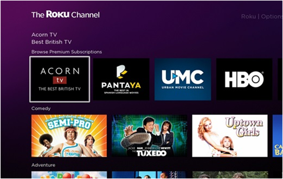 Acorn TV on Roku Channel Store