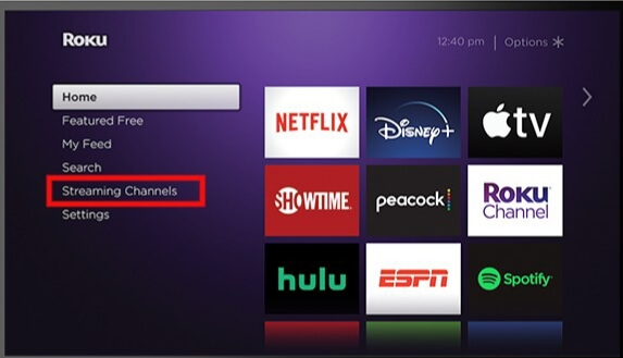 Select Streaming Channels in Roku home page.