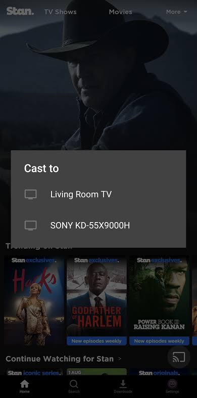 Select the device name to Cast Stan.