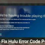 How to Fix Hulu Error Code P-DEV320