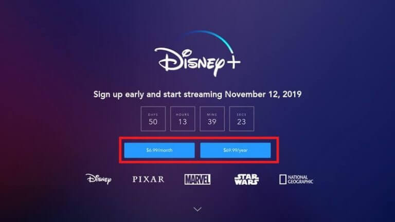Choose the subscription type - Disney Plus Free Trial