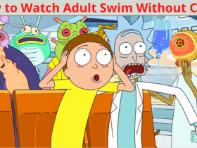 How to Watch Adult Swim Without Cable