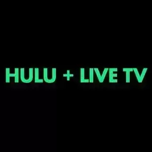 Watch Adult Swim on Hulu + Live TV